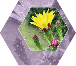 Conversas difíceis e relações que importam