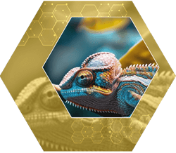 Delegação e liderança situacional