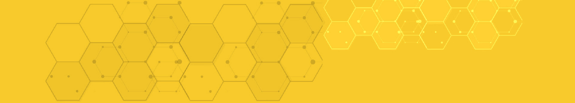 fundo topo blog right 3